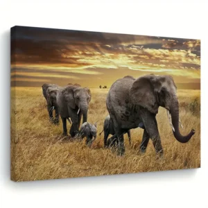Elephant Family Canvas